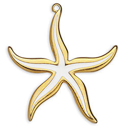 Royal starfish 50mm - Size 44x49mm