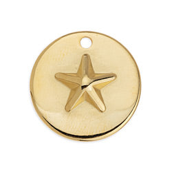 Round motif with star with 1 hole pendant - 22,9x23,8mm