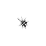 Earring star with grains with titanium pin - 8,8x11,9mm