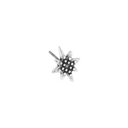 Earring star with grains with titanium pin - 8,8x11,9mm